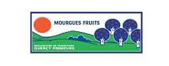 logo respectif des entreprises Comité des fruits à coque du Lot, Association du marron et du châtaignier limousins, Comité Interprofessionnel du Châtaignier du Bas Limousin