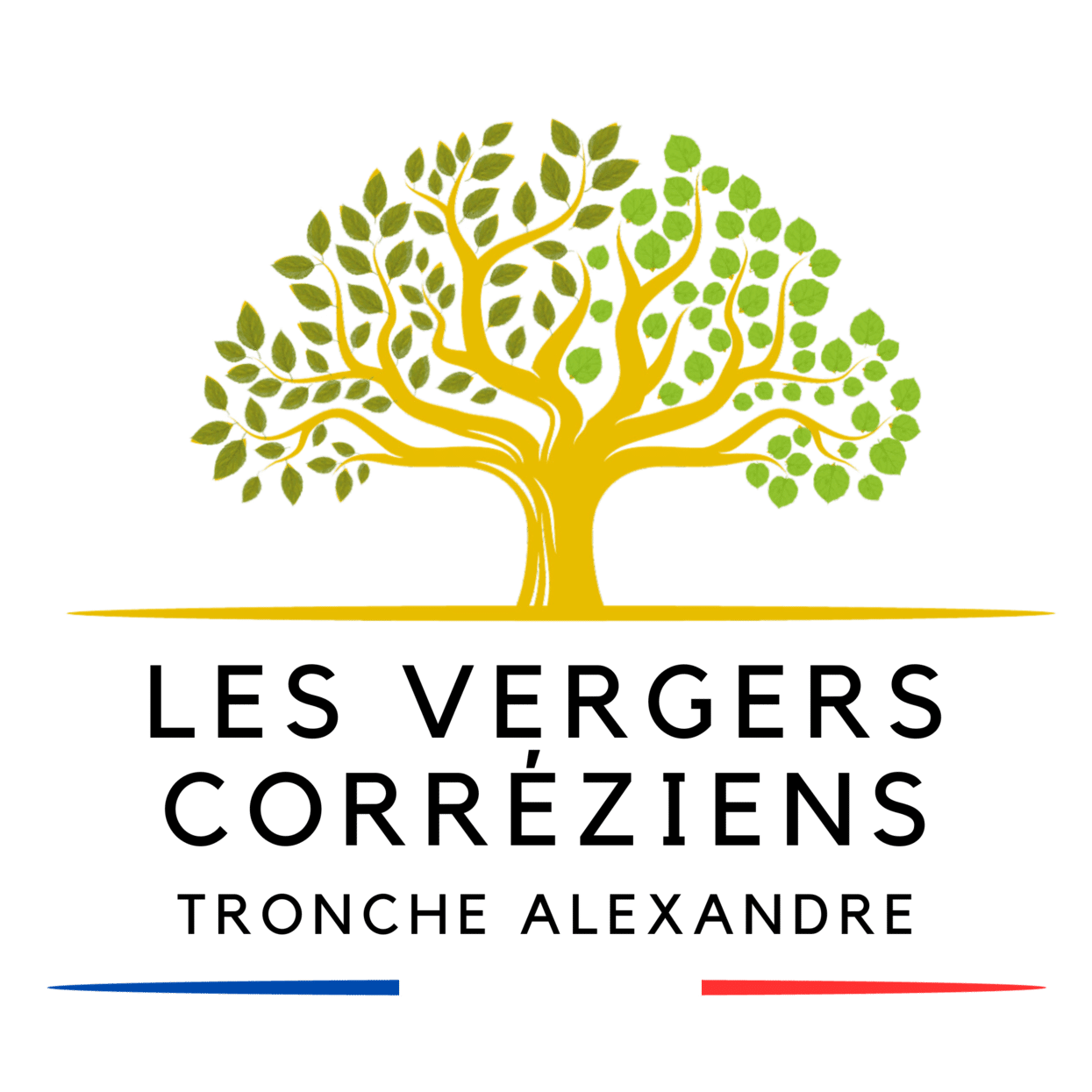 logo respectif des entreprises Comité des fruits à coque du Lot, Association du marron et du châtaignier limousins, Comité Interprofessionnel du Châtaignier du Bas Limousin